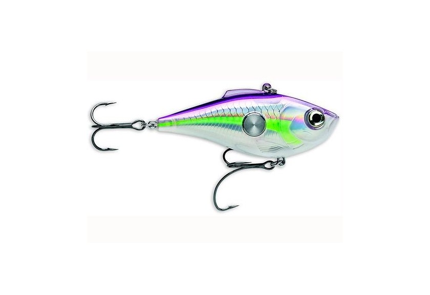 rapala clackin rapc